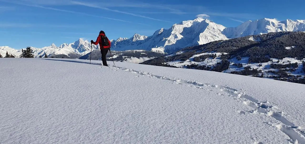 Alp-Hotel Megeve